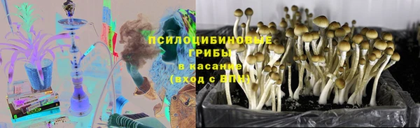 ПСИЛОЦИБИНОВЫЕ ГРИБЫ Баксан