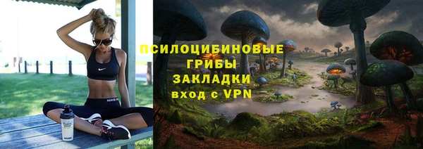 ПСИЛОЦИБИНОВЫЕ ГРИБЫ Баксан