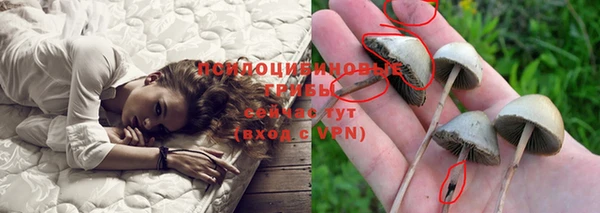 гидра Балабаново