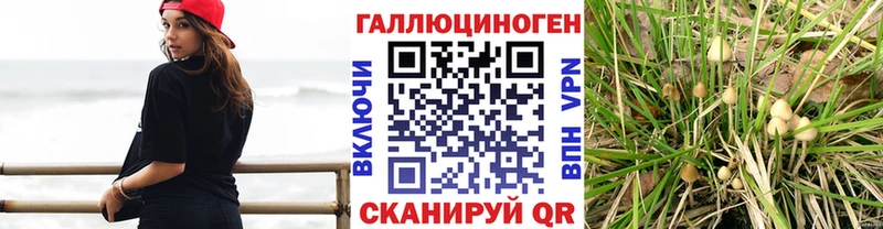 Галлюциногенные грибы GOLDEN TEACHER  Хотьково 